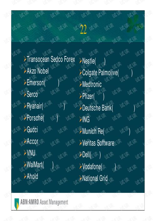 荷銀投資管理公司全球首選投資策略商業(yè)計劃書精品模板.pdf